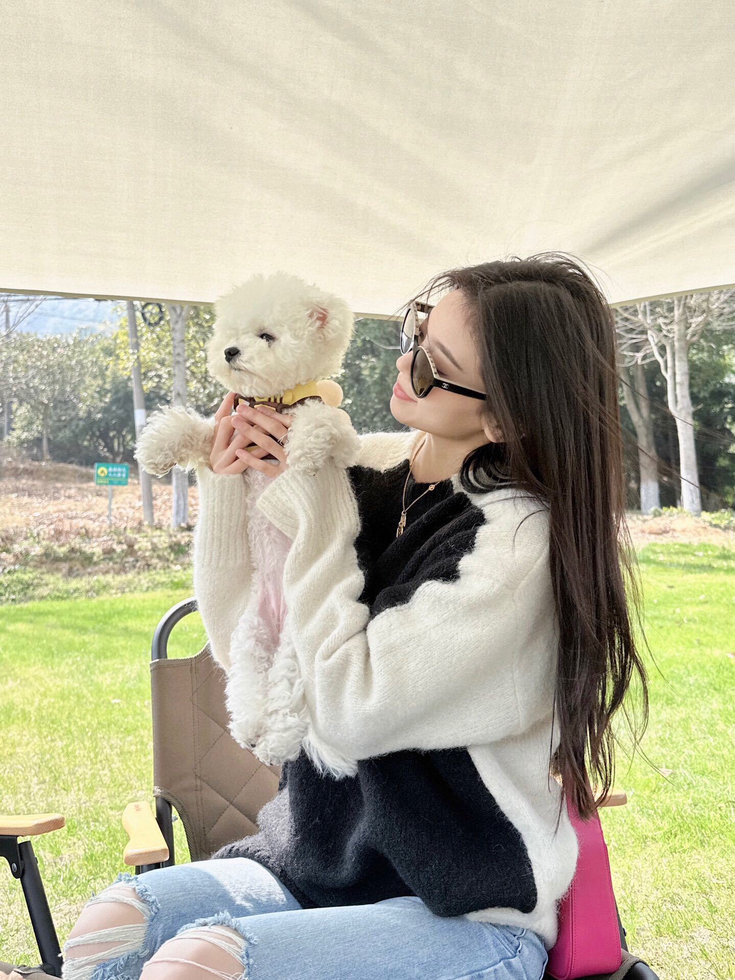 Chic Color Block Oversized Knit Sweater – Black & White Pullover