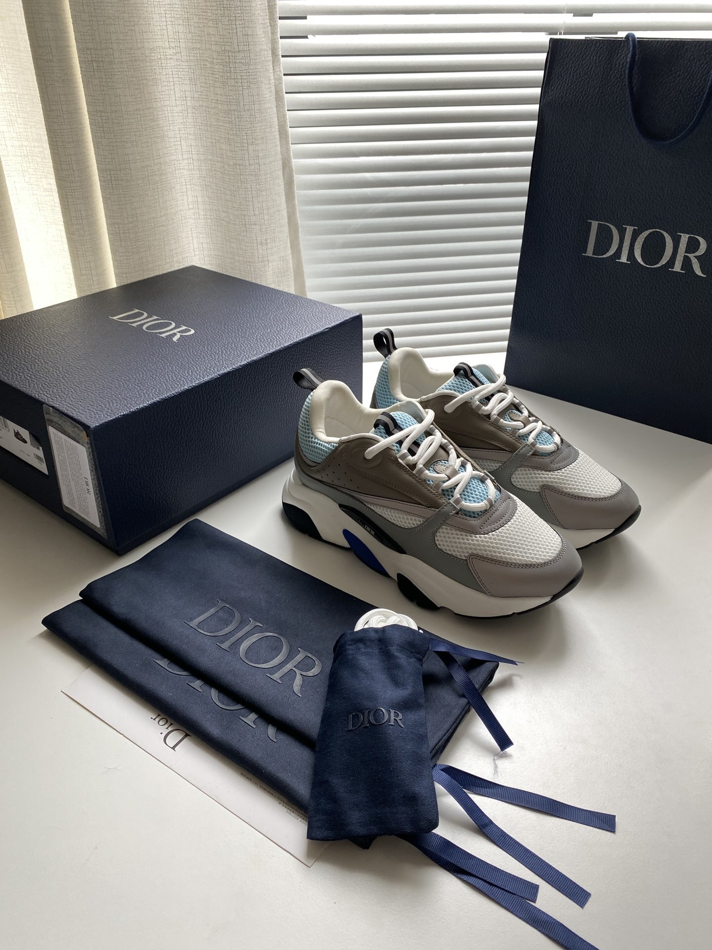 Dior Grey & Blue B30 Sneakers