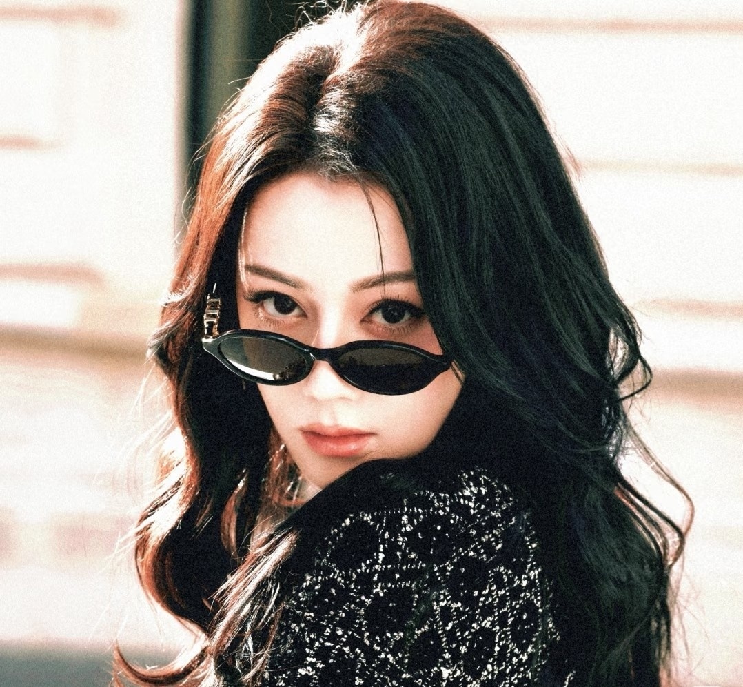 Dior Black Oval Sunglasses