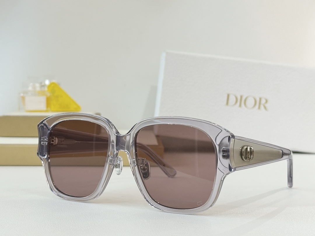 Dior Gray Acetate Sunglasses – CD Logo