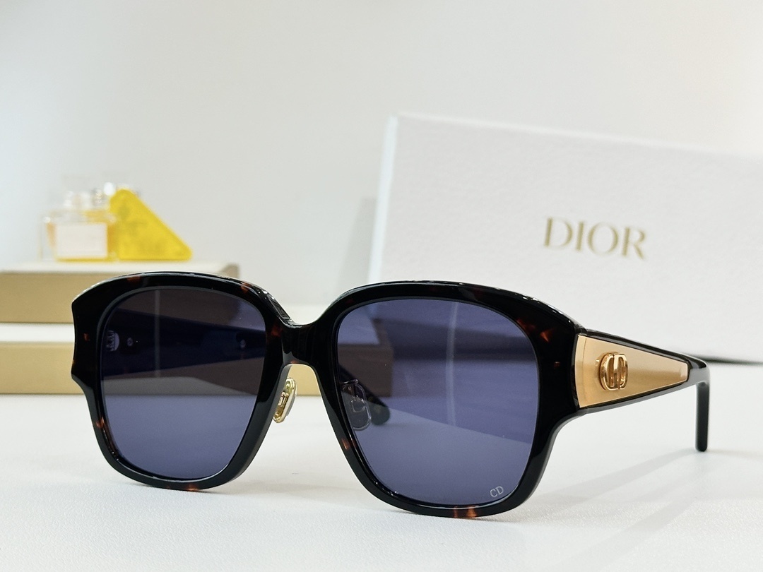 Dior Signature Oversized Square Sunglasses for Women