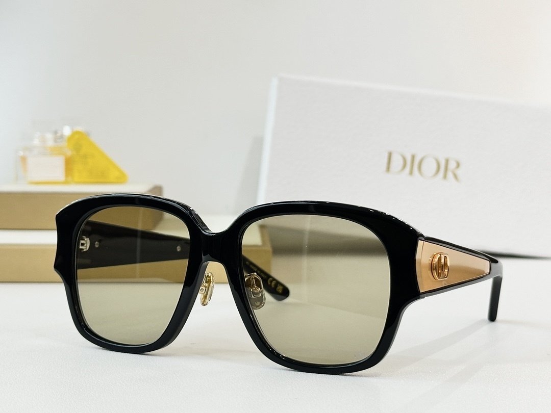 Dior Signature Oversized Square Sunglasses for Women