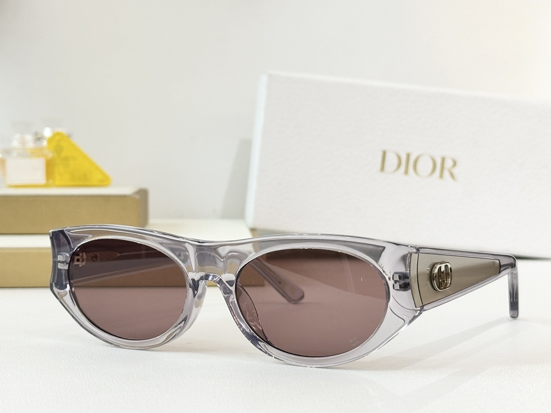 shield Dior Gray Acetate Sunglasses – Dior Gray Acetate Sunglasses