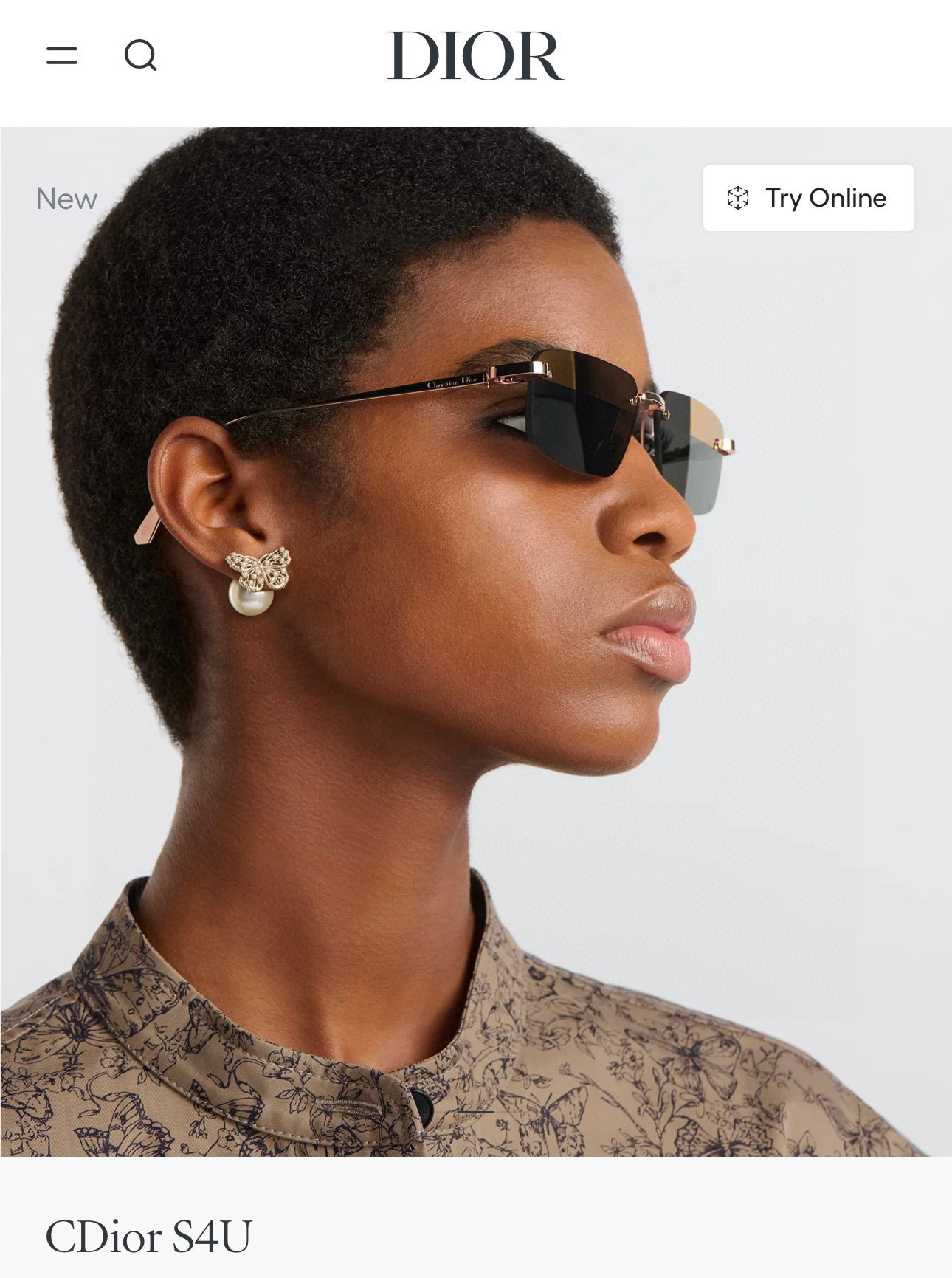 Christian Dior CDior S4U Rimless Rectangular Sunglasses