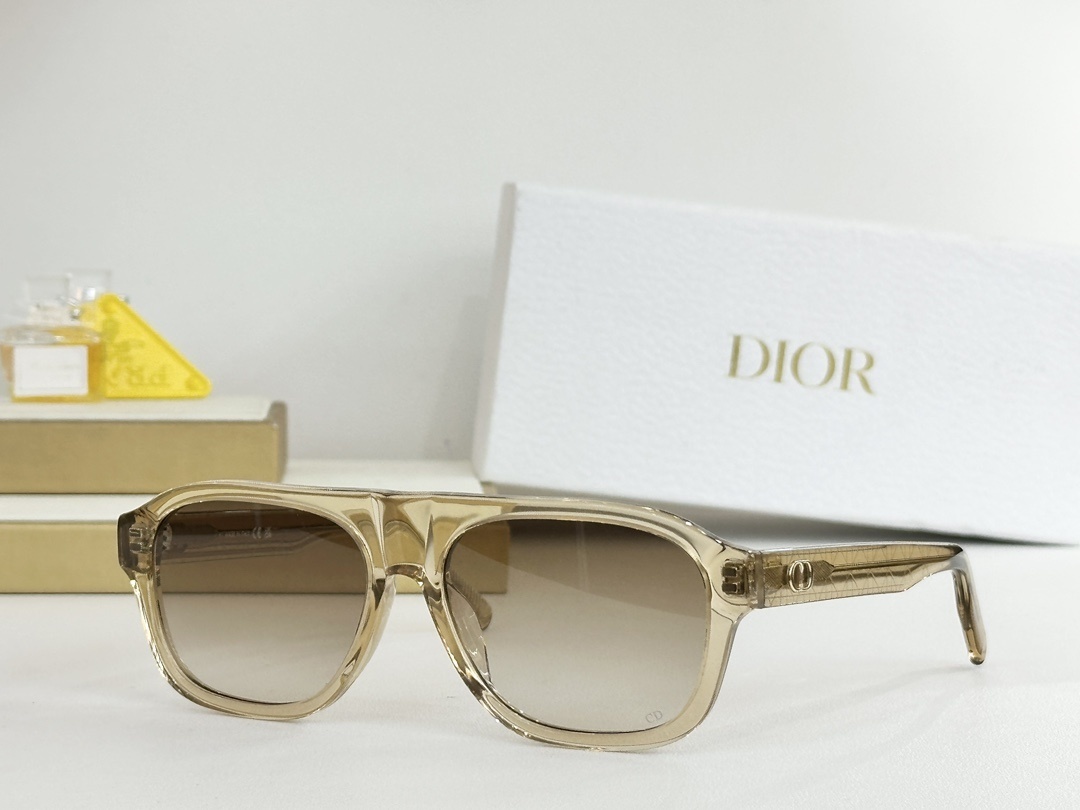Luxury Dior Navigator Sunglasses – Premium Men’s Designer Eyewear