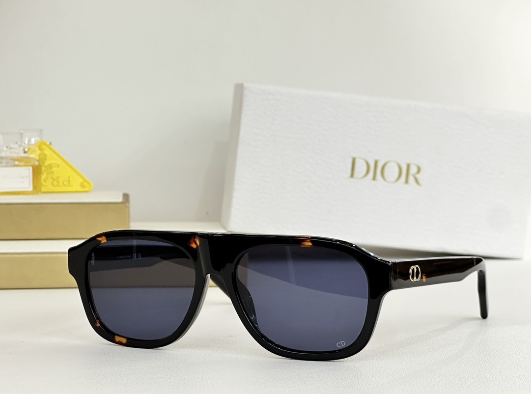 Luxury Dior Navigator Sunglasses – Premium Men’s Designer Eyewear