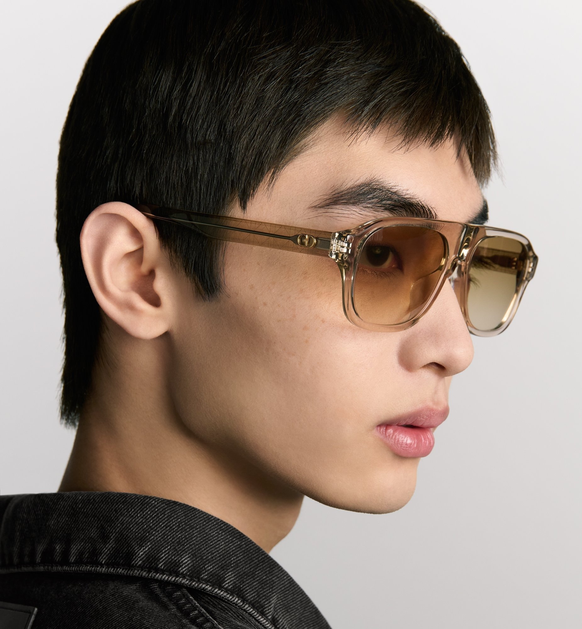 Dior Navigator Sunglasses in Translucent Beige Acetate