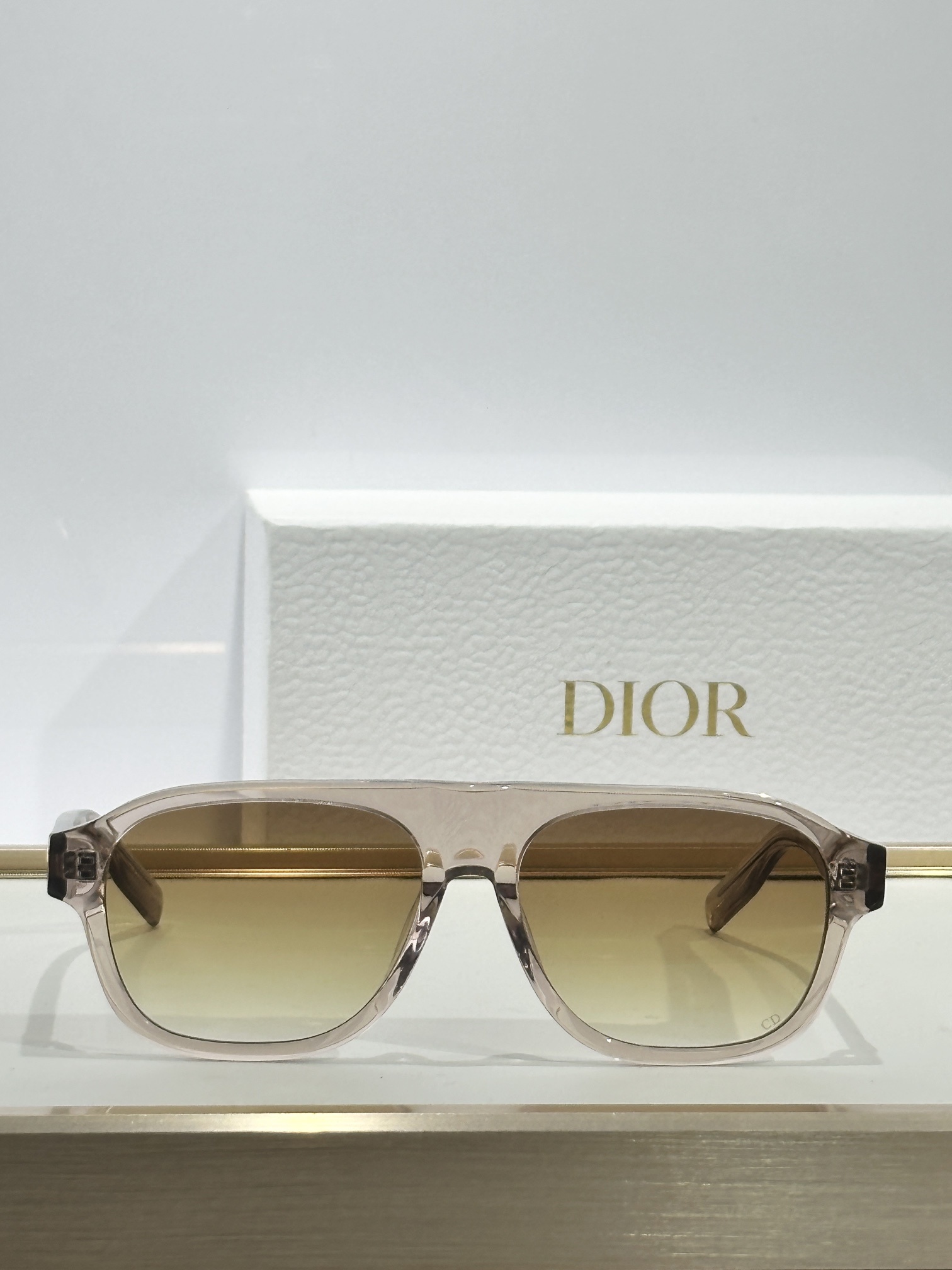 Dior CD Icon A1I Transparent Beige Pilot Sunglasses