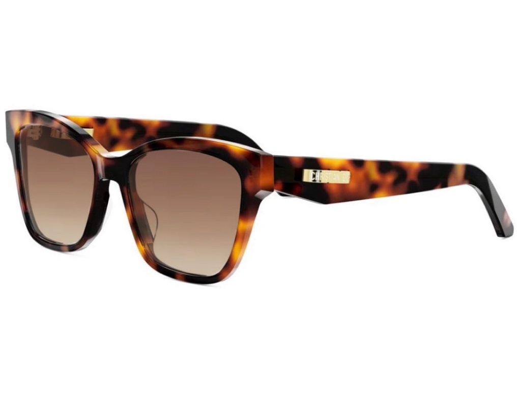 Christian Dior Black Oversized Cat-Eye Sunglasses for Women