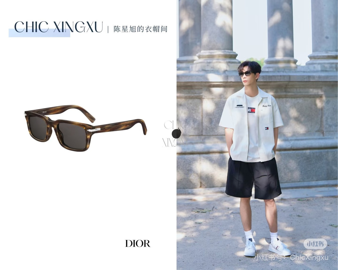 Dior CD Link Square Sunglasses for Men – Luxury Eyewear