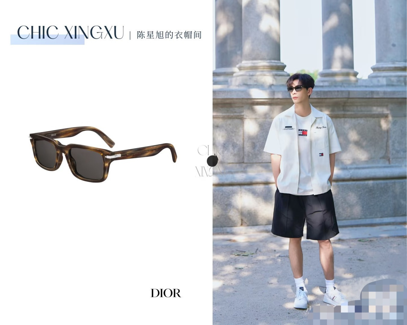 Dior CD Link Square Sunglasses for Men – Luxury Eyewear