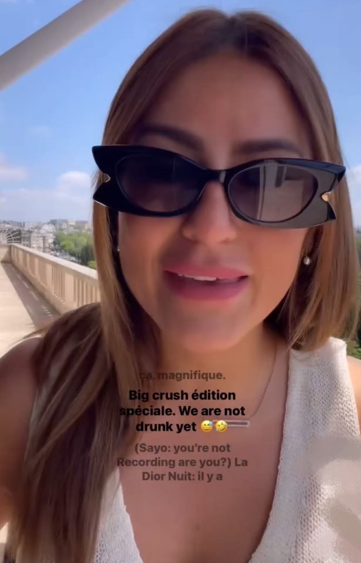 DiorButterfly S2I Luxury Rectangular Sunglasses for Women