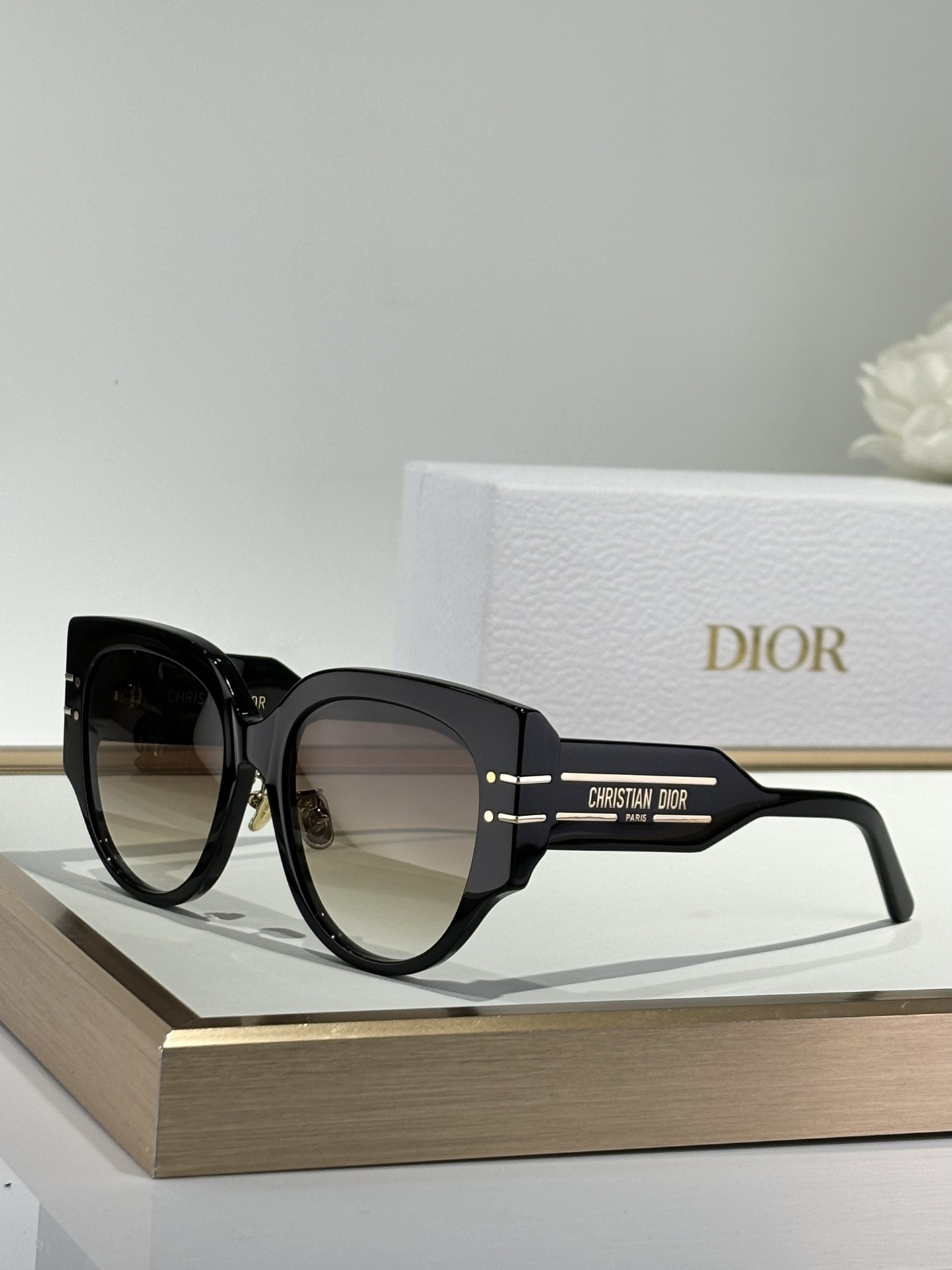 Dior Black Acetate Sunglasses – Gold Accent & Gradient Lens