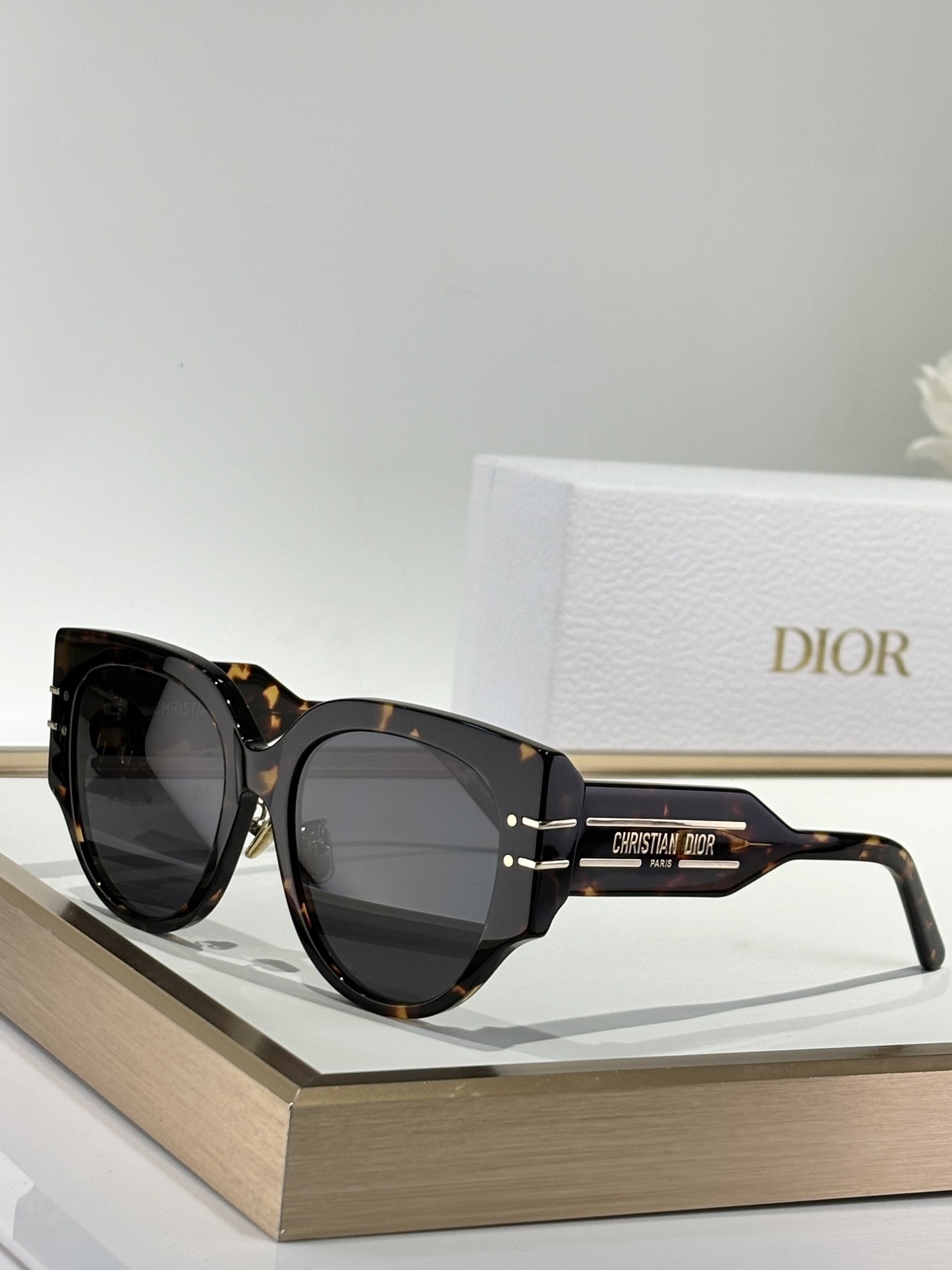 Christian Dior Signature Oversized Sunglasses – Luxury Eyewear