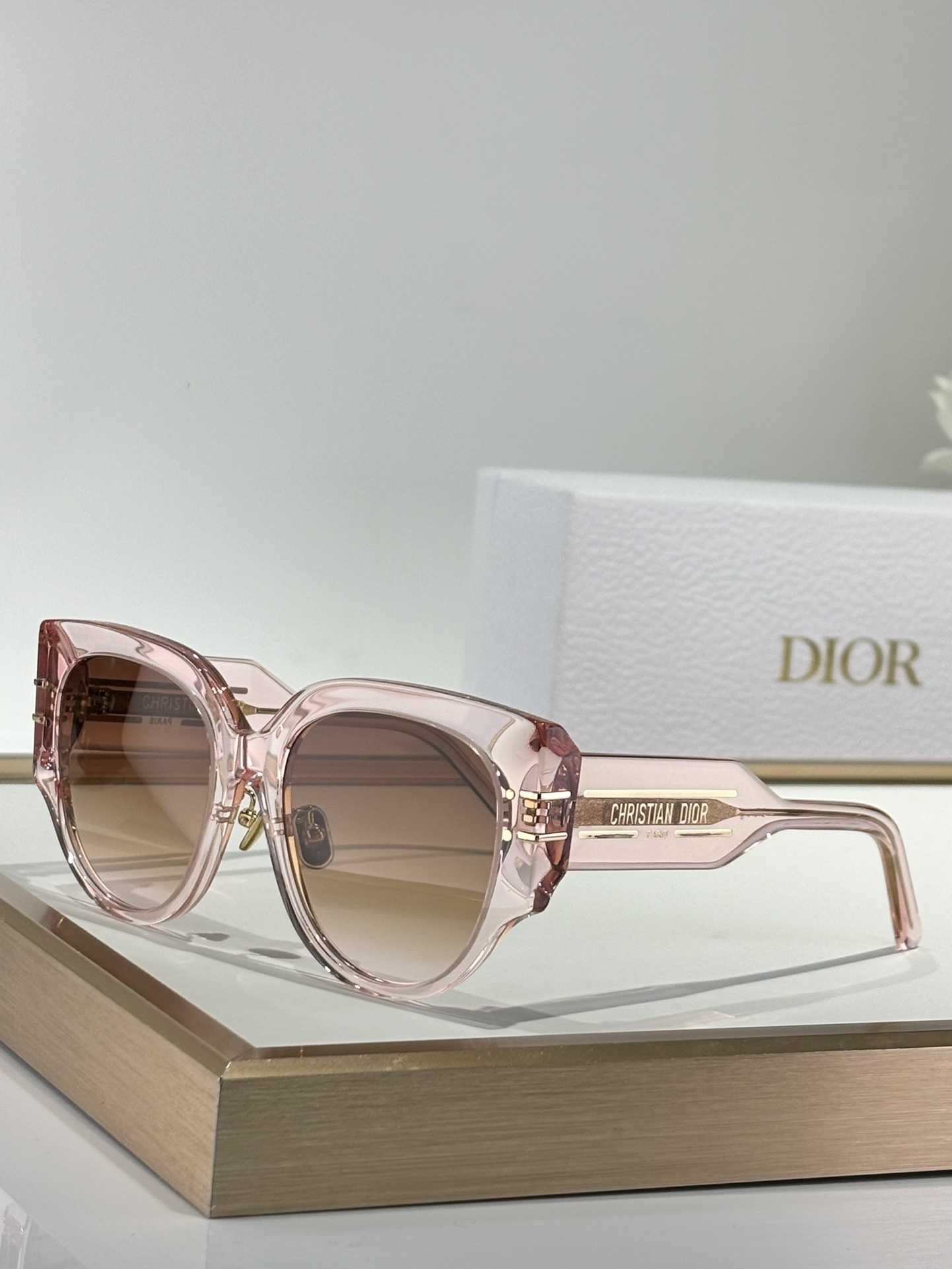 Christian Dior Signature Oversized Sunglasses – Luxury Eyewear