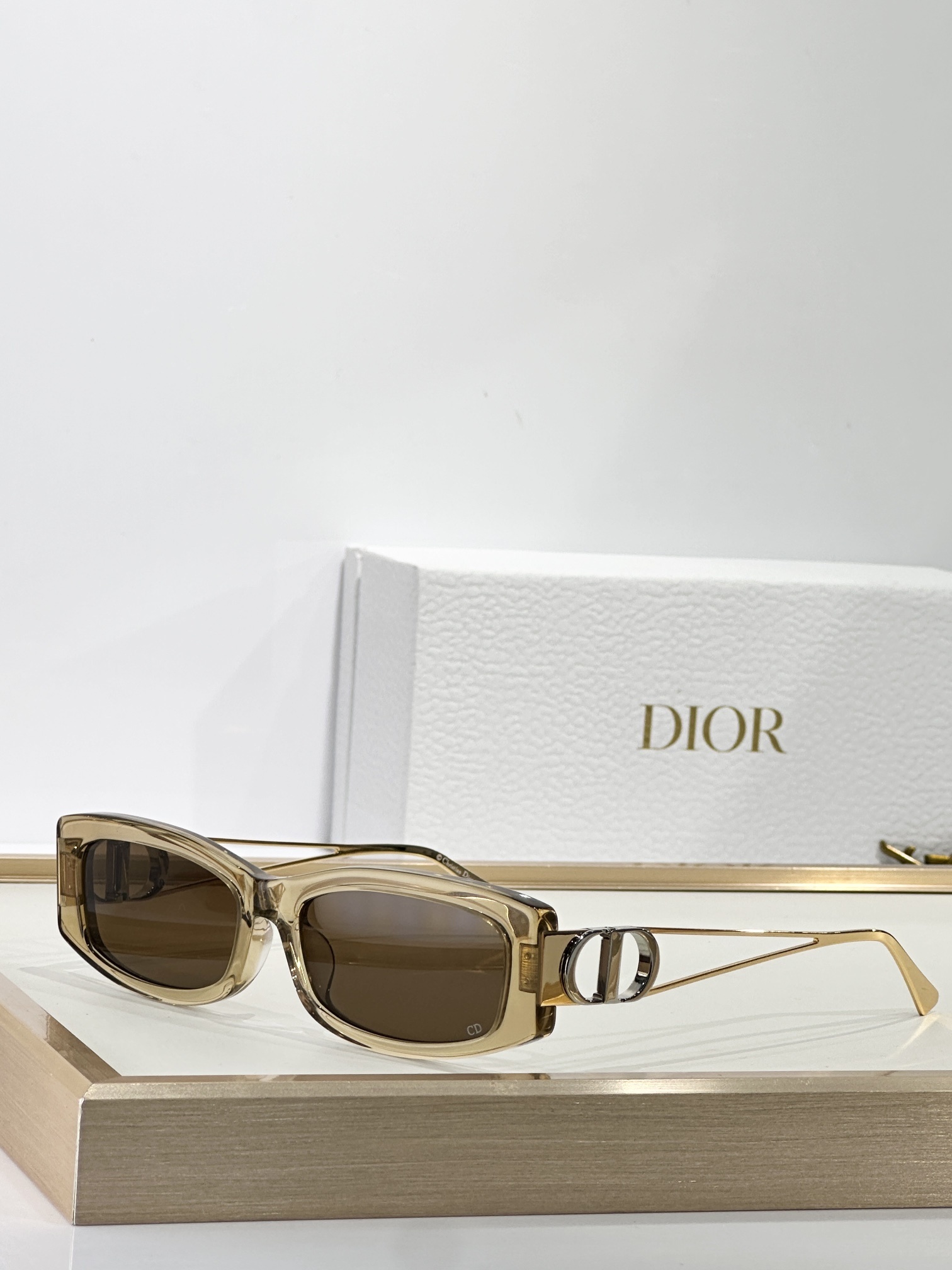 Dior Signature Rectangular Sunglasses with Iconic CD Logo