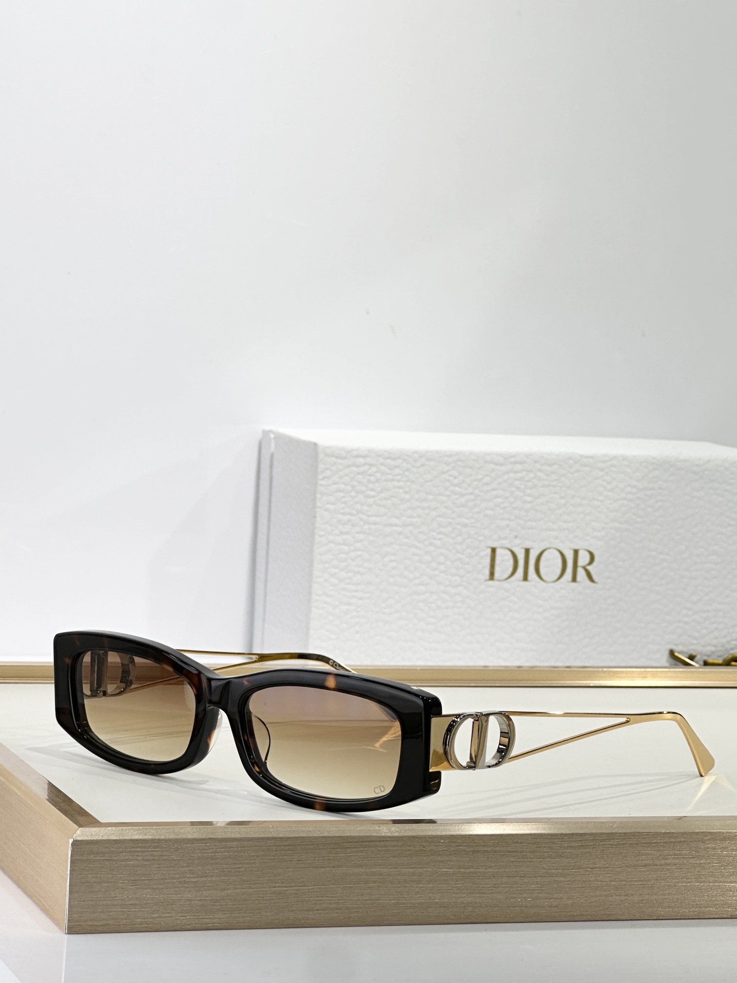 Dior Signature Rectangular Sunglasses with Iconic CD Logo