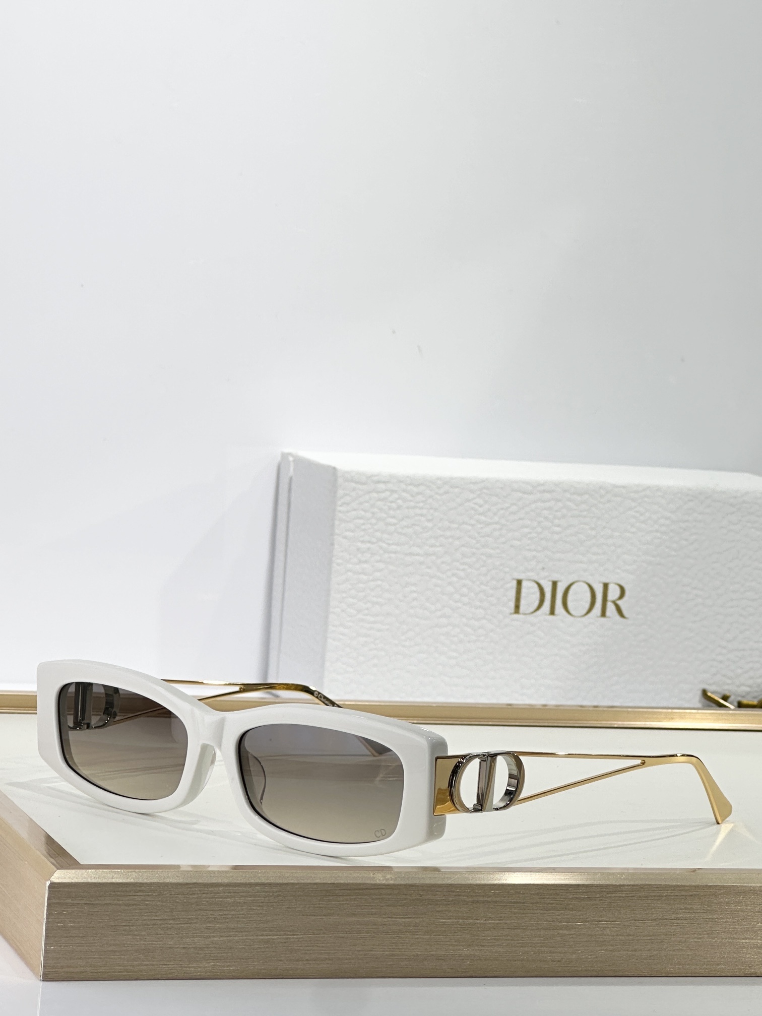 Dior Signature Rectangular Sunglasses with Iconic CD Logo