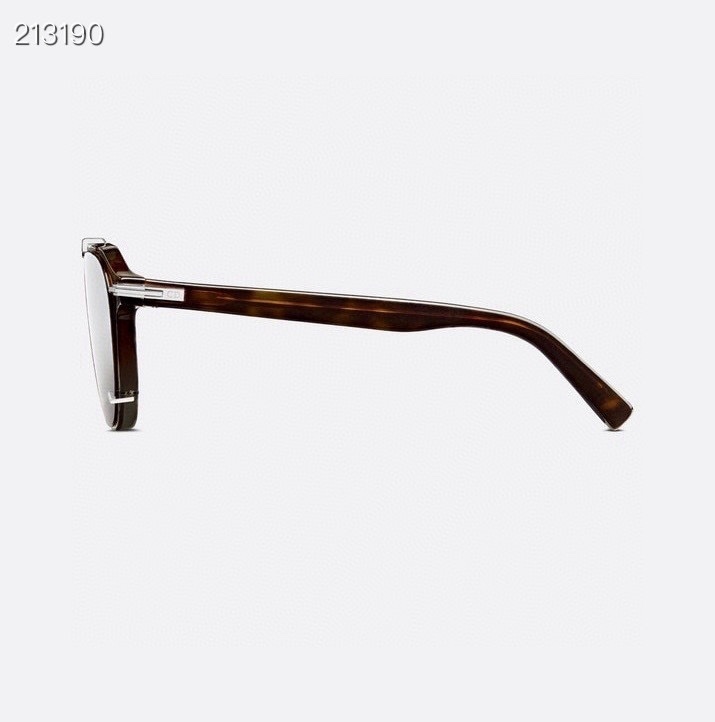 Dior BlackSuit RI Sunglasses – Luxury Pantos Men’s Eyewear