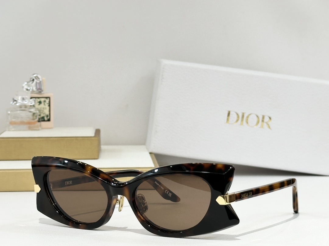 Dior Luxury Cat-Eye Sunglasses – Architectural Designer Eyewear