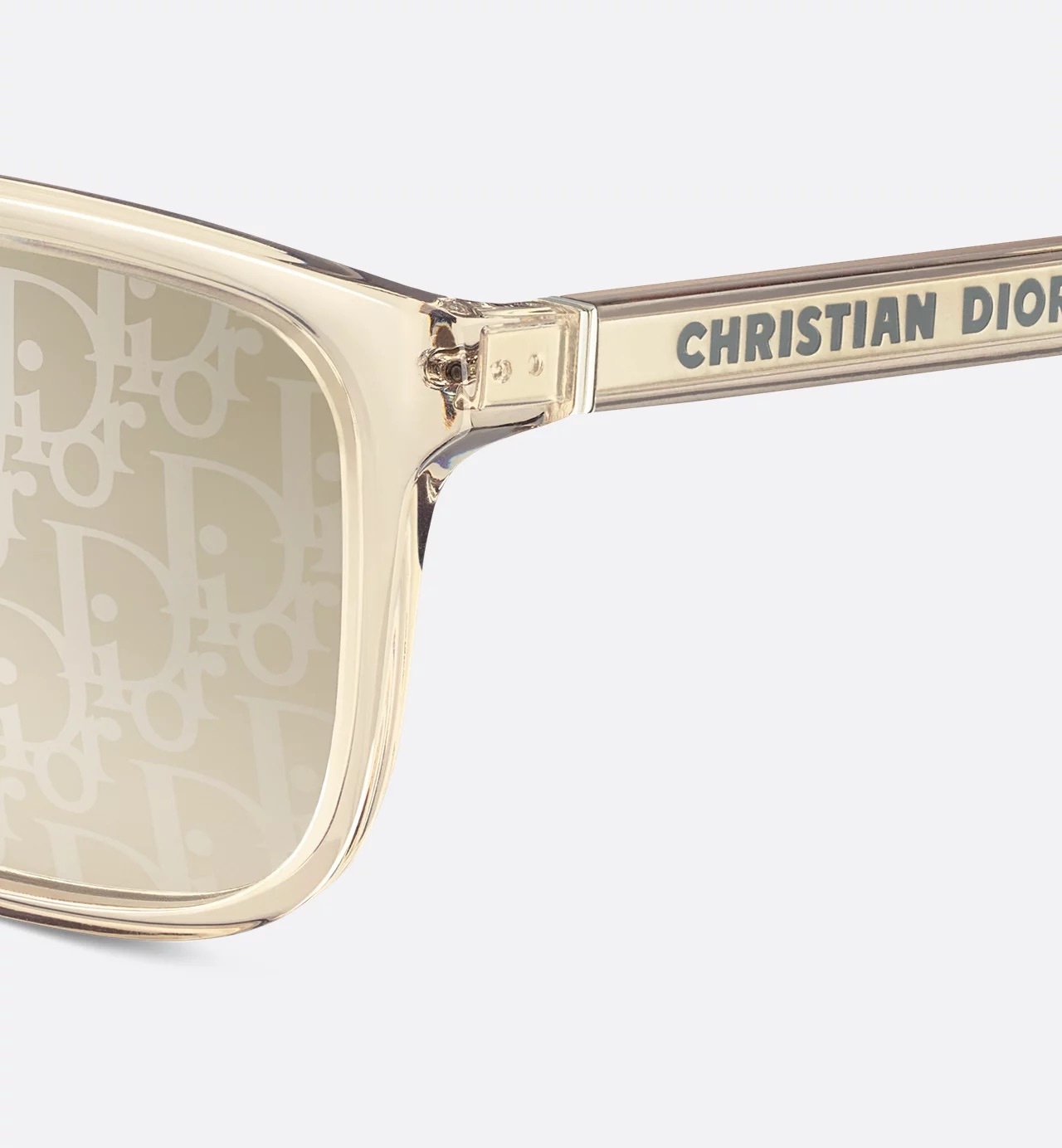 Dior Oblique Sunglasses in Transparent Champagne & Blue