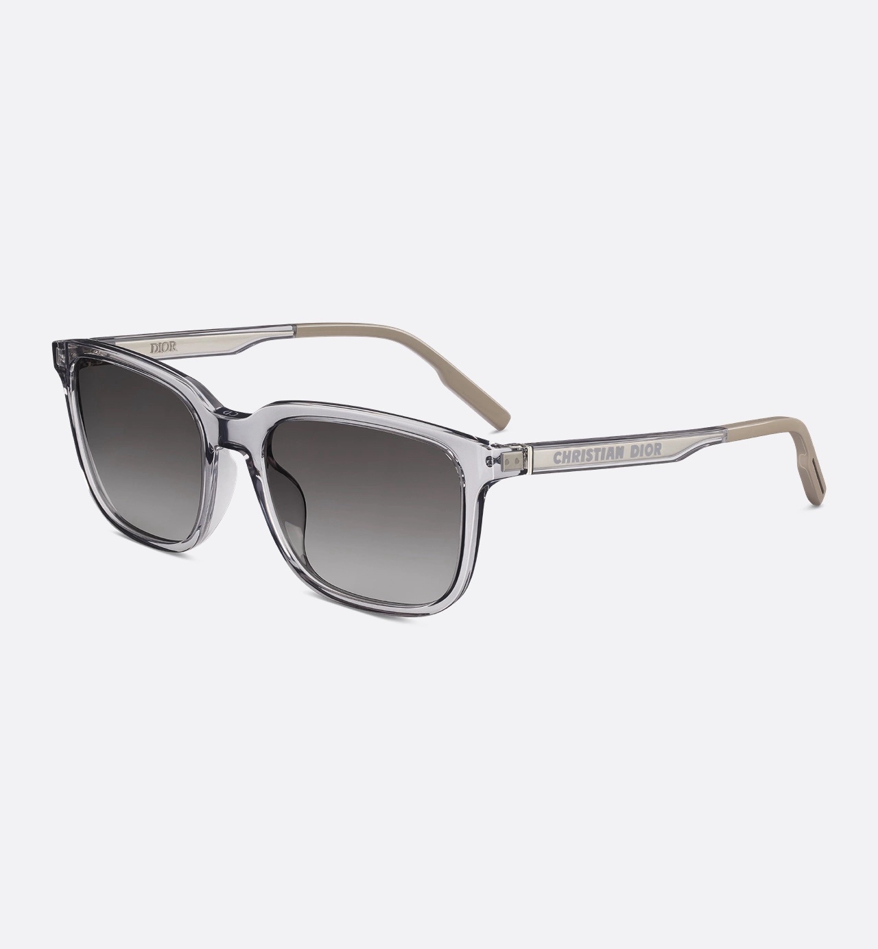 Dior Oblique Sunglasses in Transparent Champagne & Blue