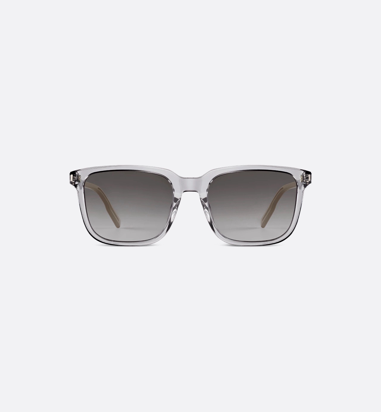 Dior Oblique Sunglasses in Transparent Champagne & Blue