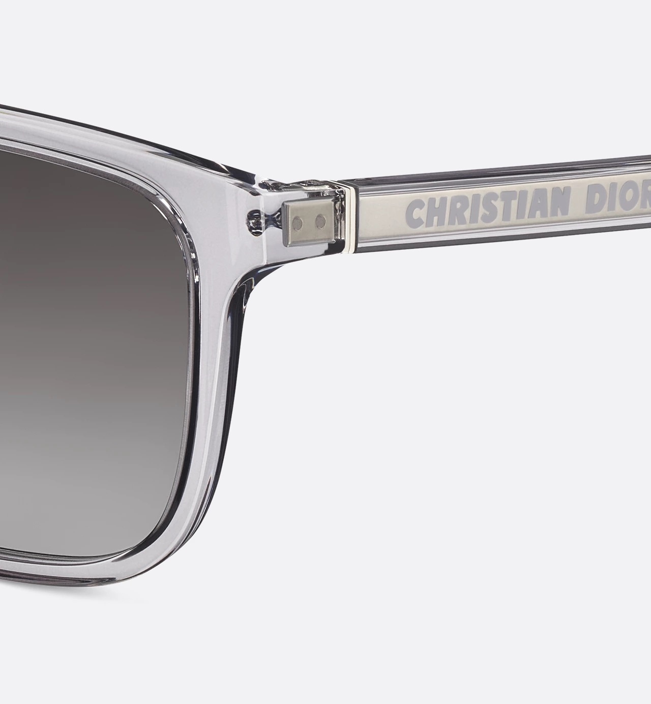 Dior Oblique Sunglasses in Transparent Champagne & Blue