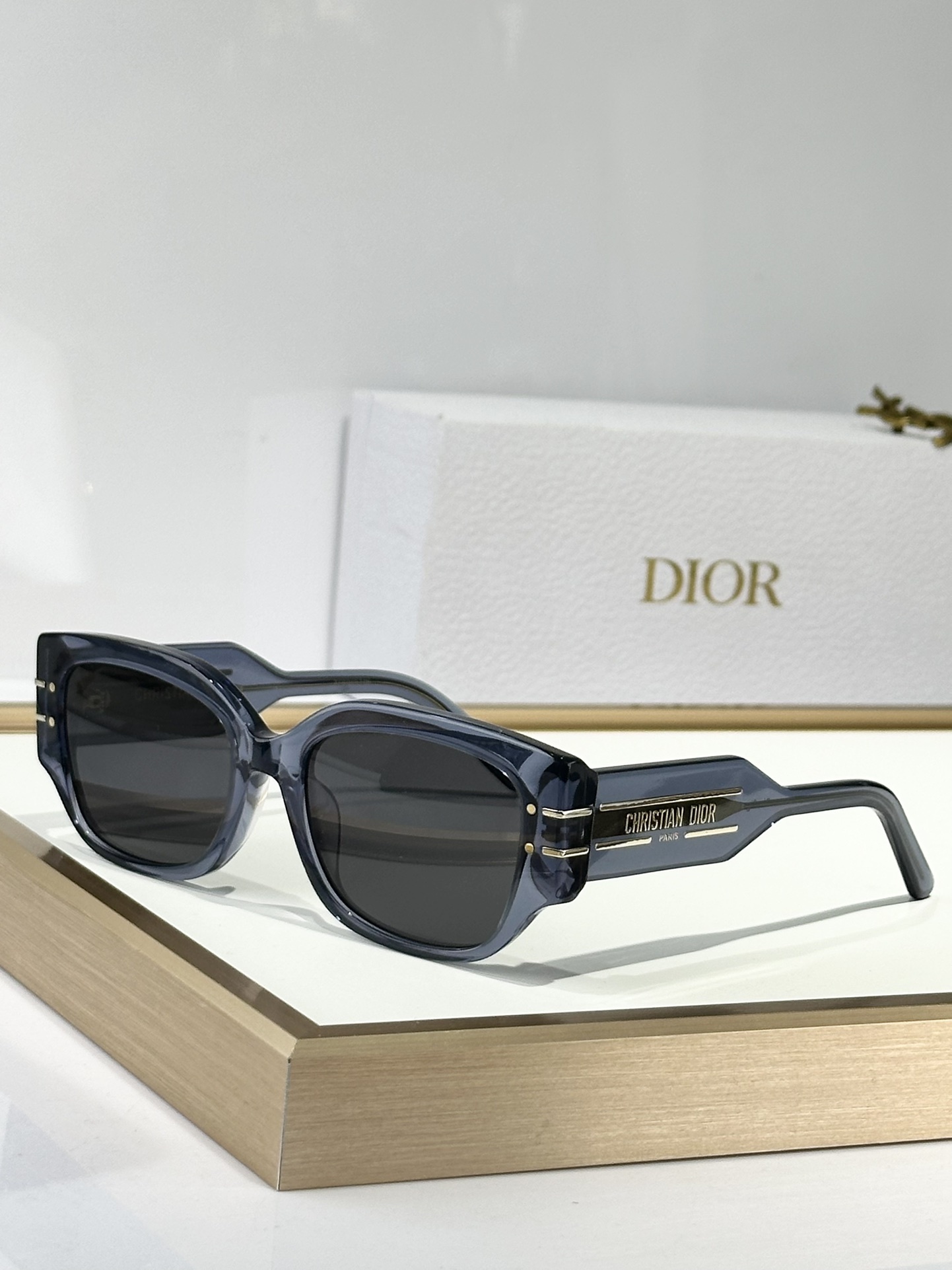 Dior Blue Acetate Butterfly Sunglasses – Grey Lens