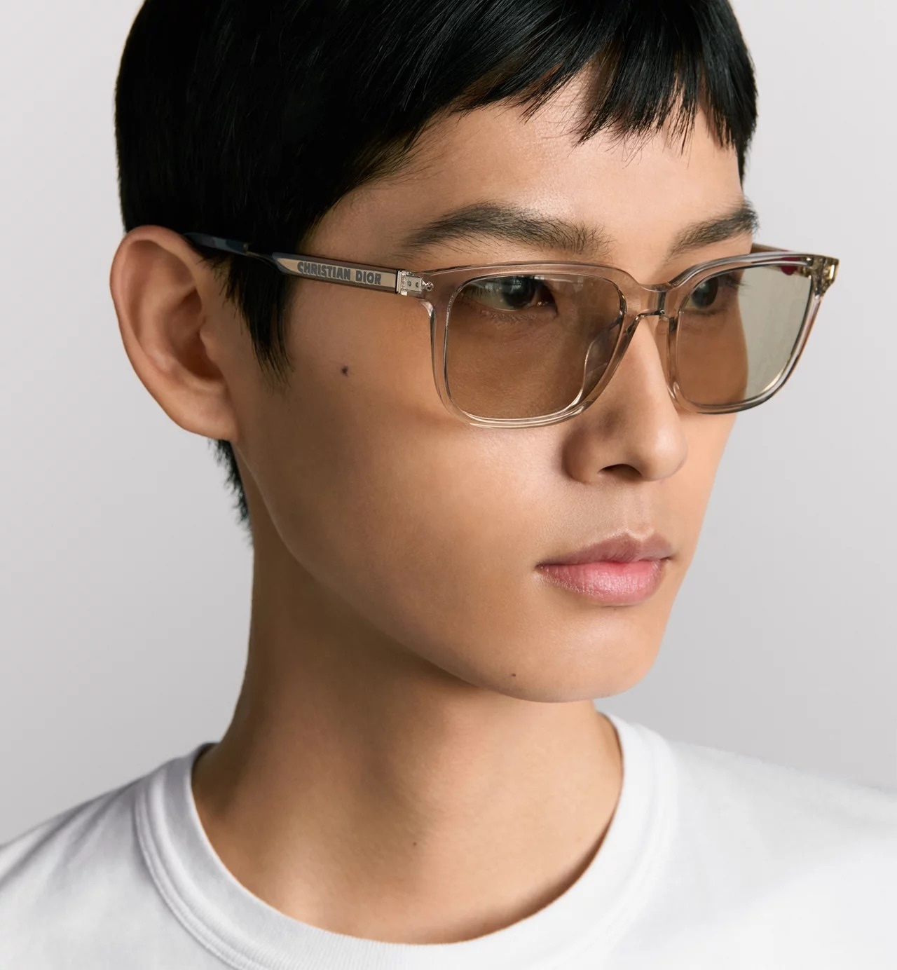 Dior Transparent Square Sunglasses – Brown Lens