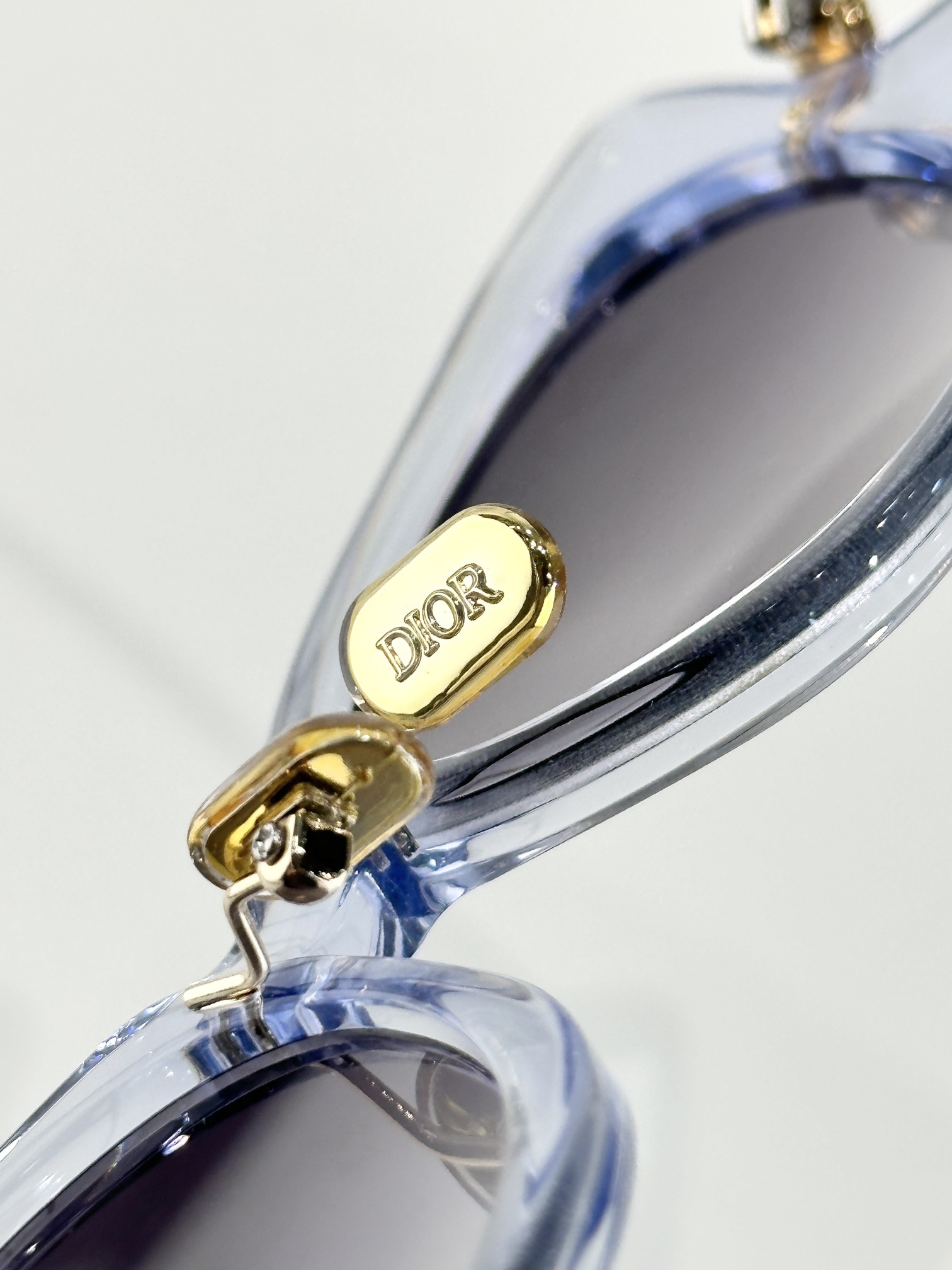 DiorButterfly S2I Transparent Blue Rectangular Sunglasses