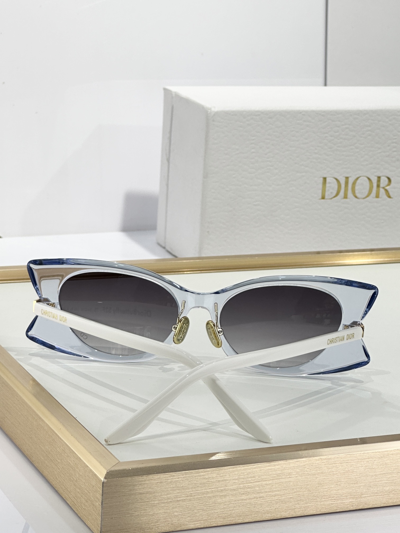 DiorButterfly S2I Transparent Blue Rectangular Sunglasses