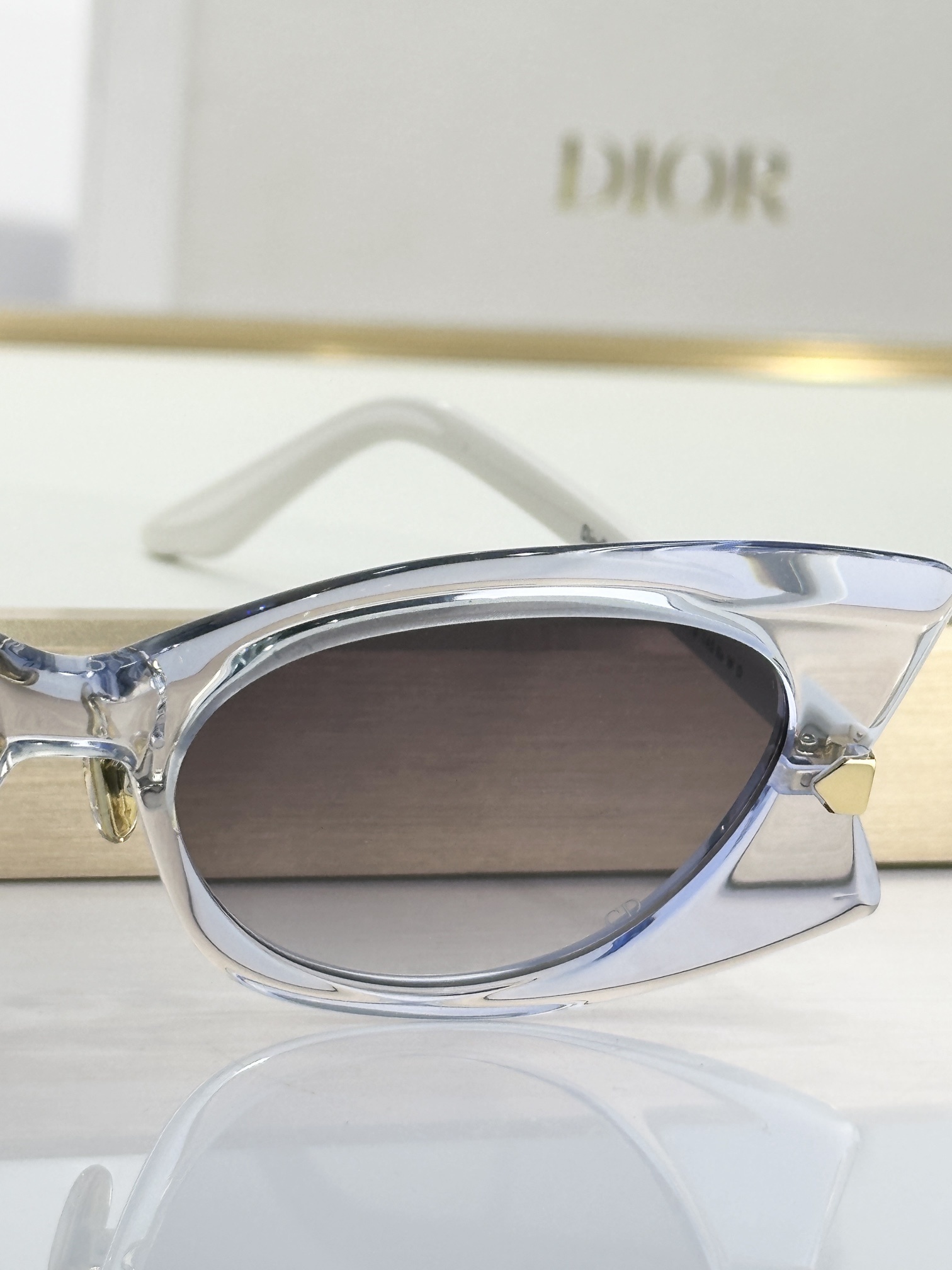 DiorButterfly S2I Transparent Blue Rectangular Sunglasses