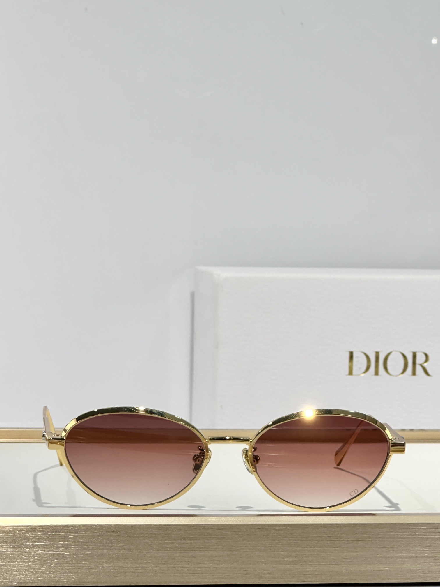 Dior DiorCannage R1U Gradient Pink Oval Sunglasses