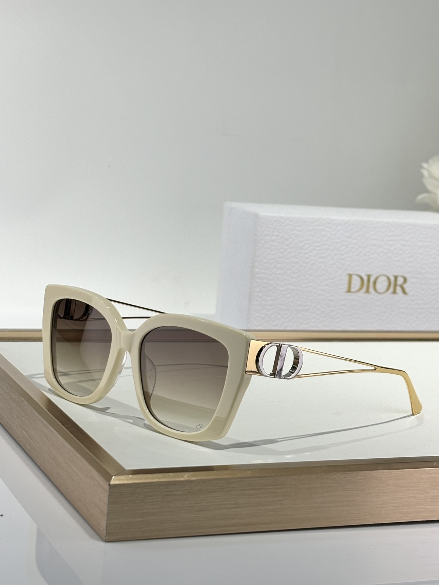 Dior Signature Oversized Square Sunglasses for Women