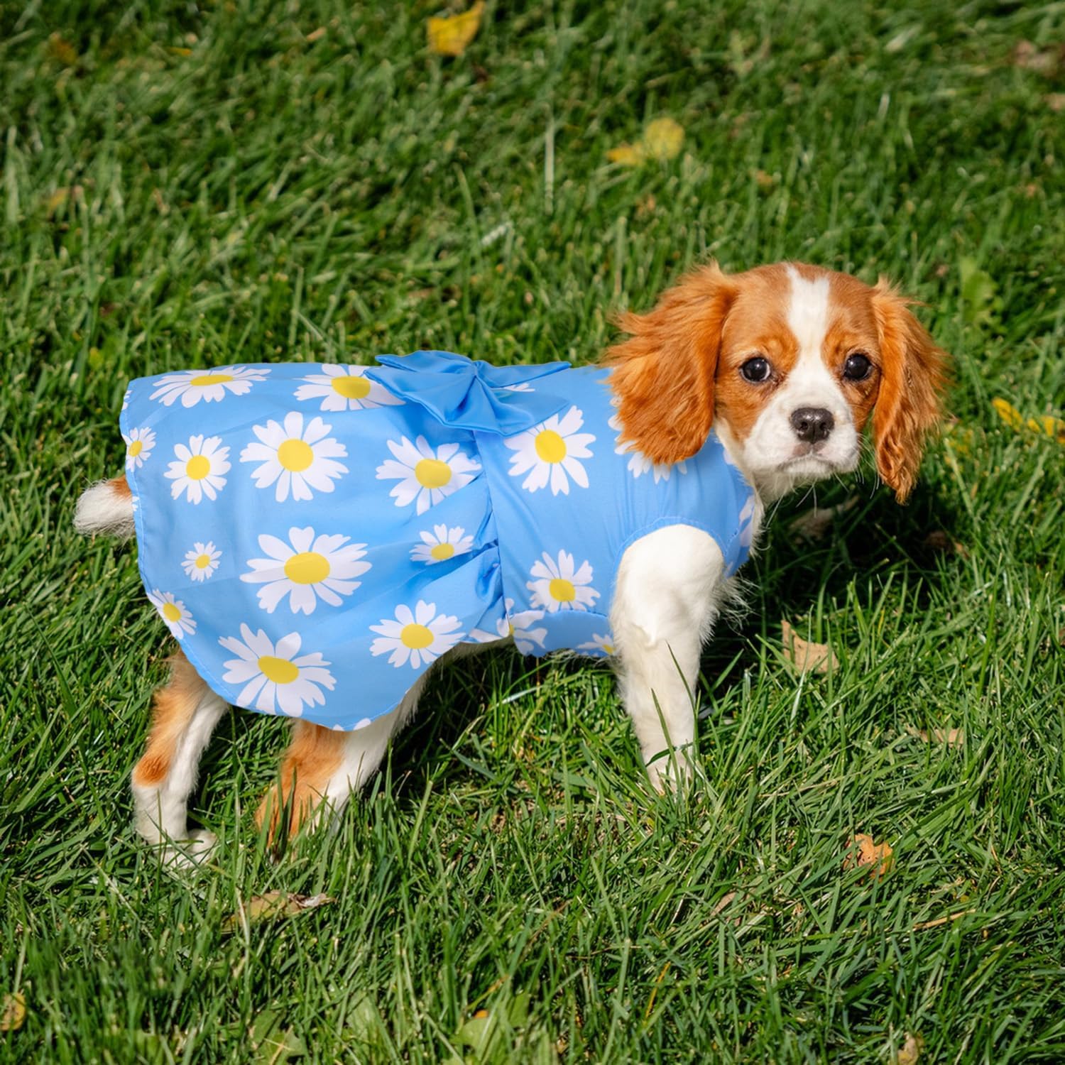 Alternative view of 5 Pack Girl Dog Clothes Floral Summer Puppy Princess Bowknot Dog Dresses for Small Dogs Girl Clothes Cute Outfits for Boys Girls Pets Cats Dogs (Medium, Floral Summer)