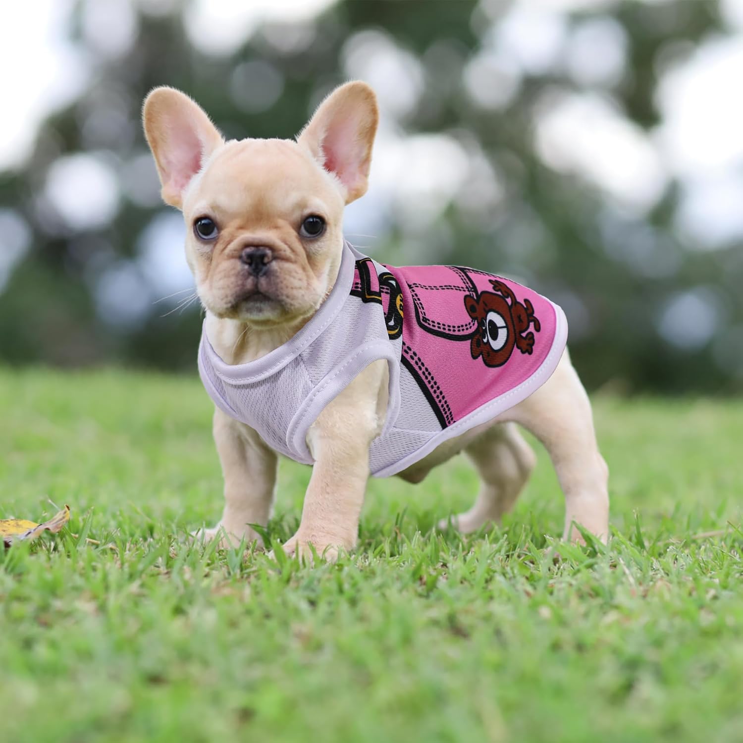 4 Pack Mesh Dog Shirts for Small Dogs: Stretchy Dog Clothes with Cute Patterns, Size XXS-XL Fit for 2-16lb Dogs Pet T-Shirts, Girl & Boy Puppy Clothes for Spring Summer (Pink Set, Large)