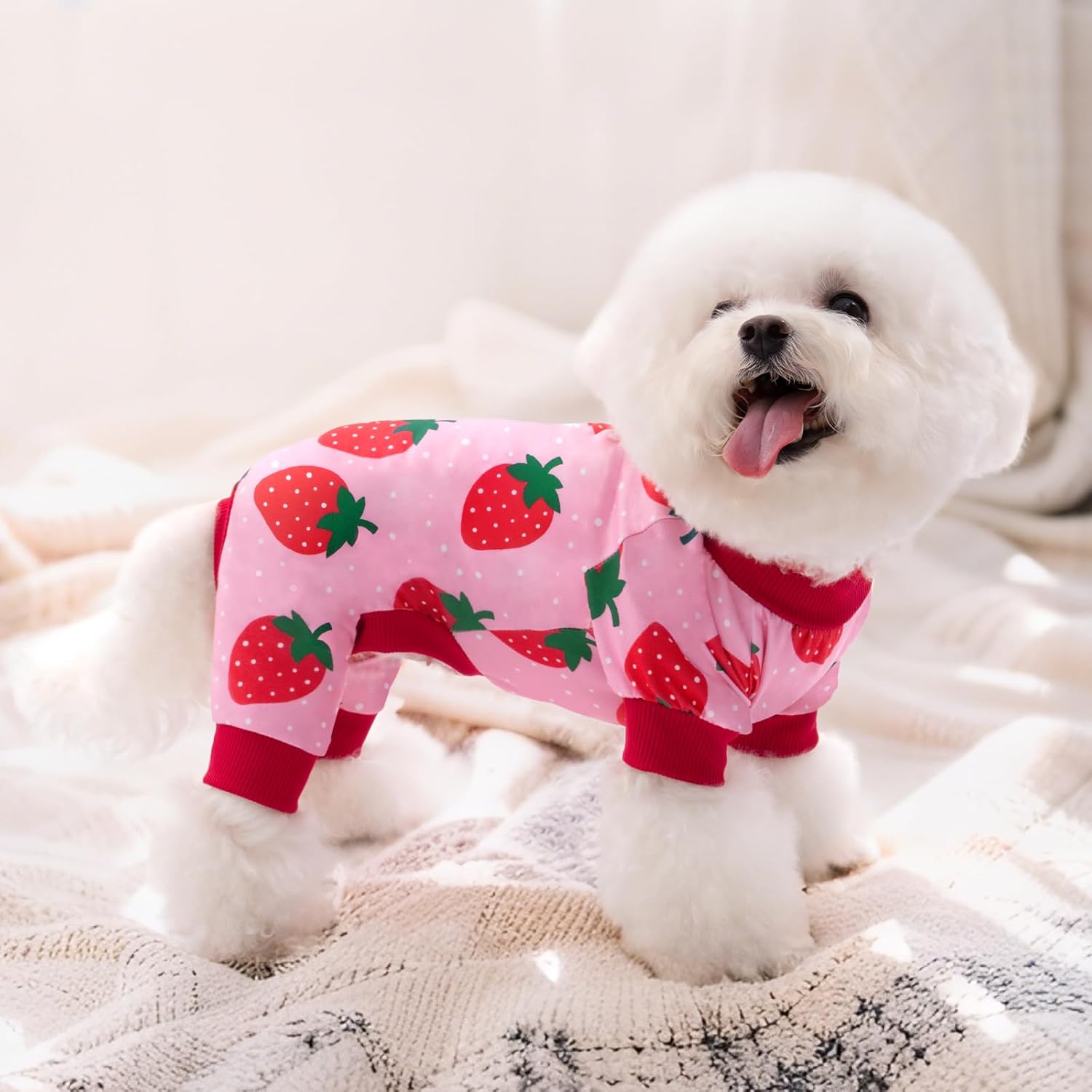 XPUDAC 4 Pieces Dog Pajamas for Small Dogs Pjs Clothes Puppy Onesies Outfits for Doggie Christmas Shirts Sleeper for Pet