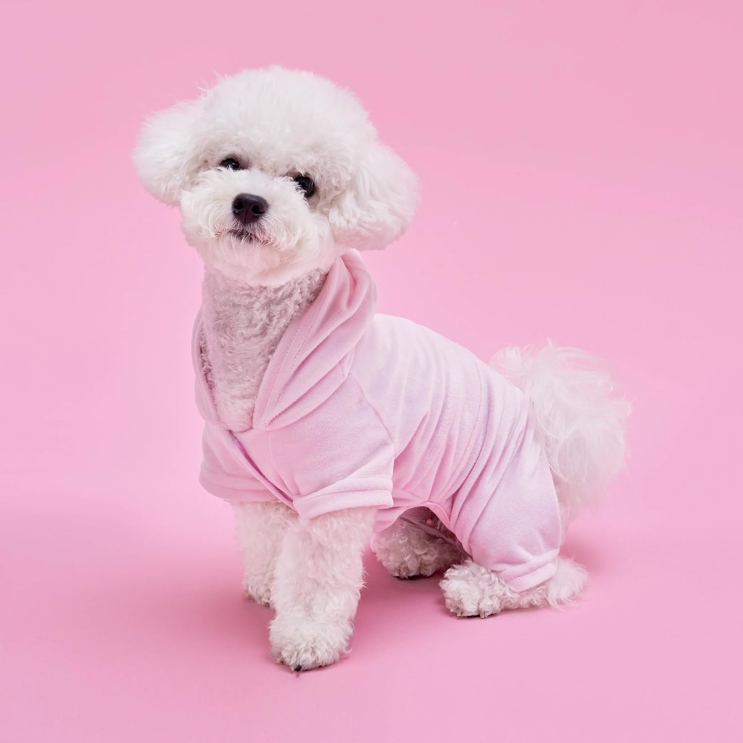 Juicy Couture Hooded Pet Juicy Bling Velour Tracksuit Chest 16 inches for Small Dogs and Cats - Pink - XS/S