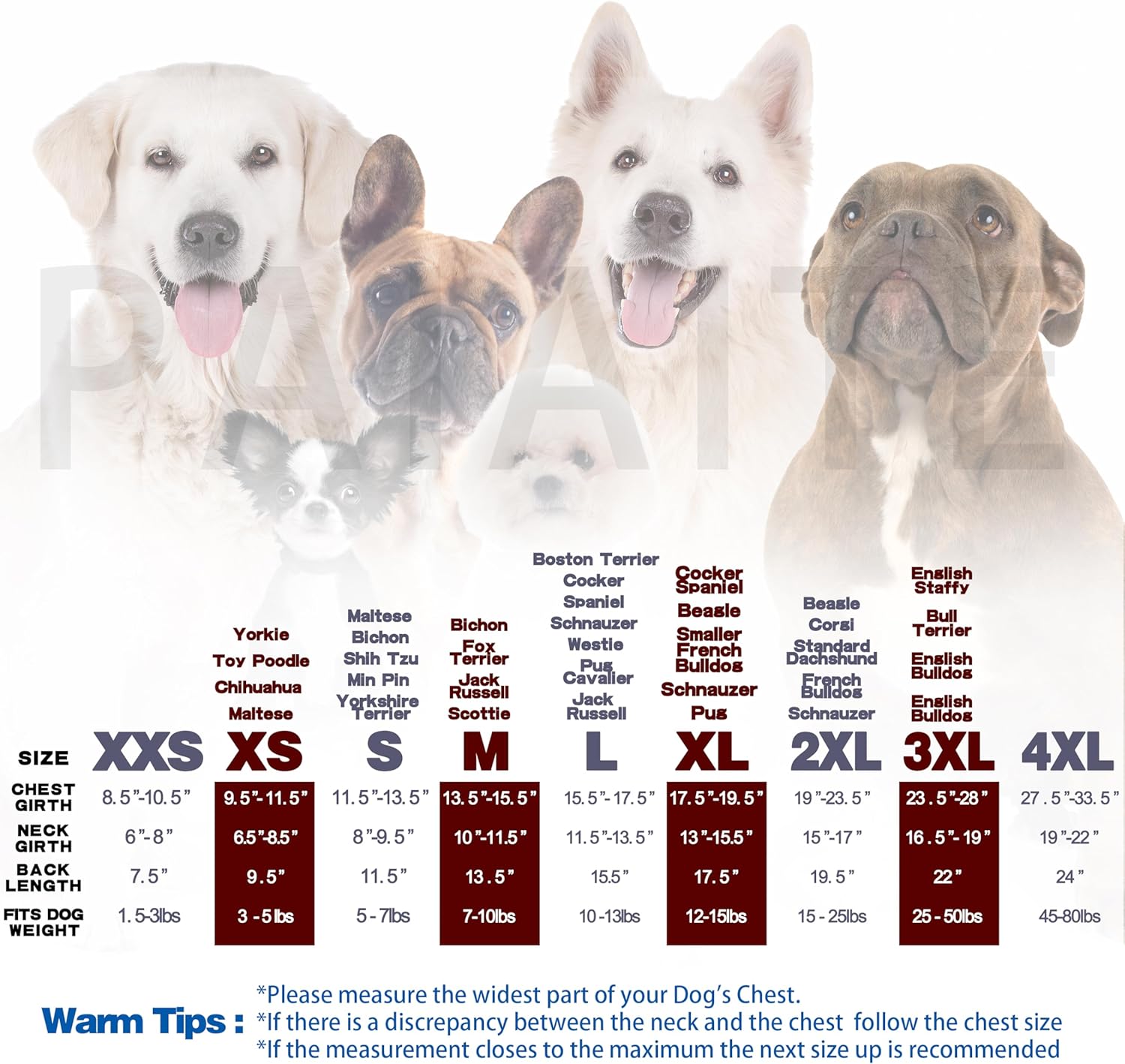 Alternative view of Paiaite Black Chihuahua Dog Hoodie: Keep Your Pup Warm and Stylish with a 'The Dog Face' Printed Sweatshirt Pet Clothes, and Sweater Coat All in One Perfect for Winter and Cool Summer Nights! XS