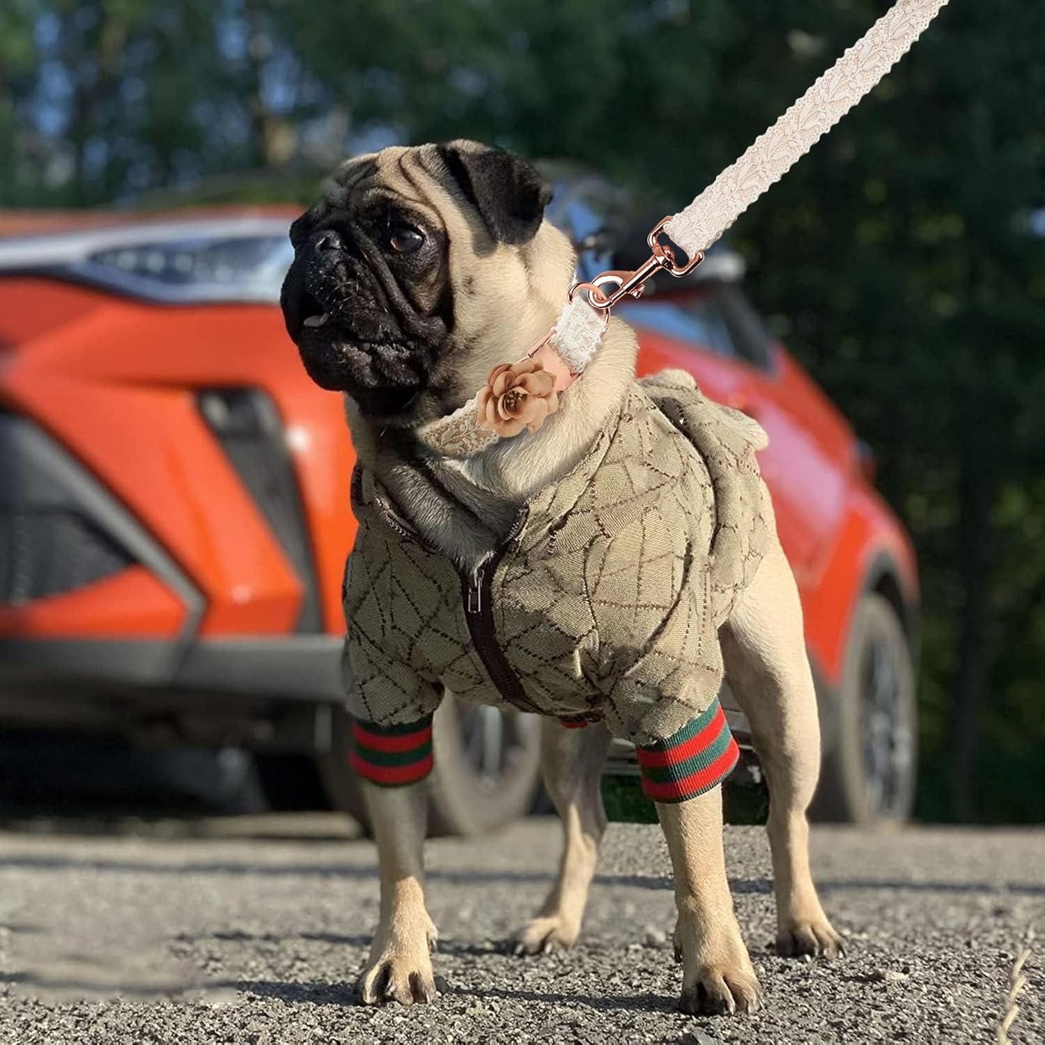 Alternative view of HQREA Dog Hoodie Luxury Winter Small Dog Jacket Clothes Classic Designer French Bulldog Teddy Pug Puppy Clothes(S)