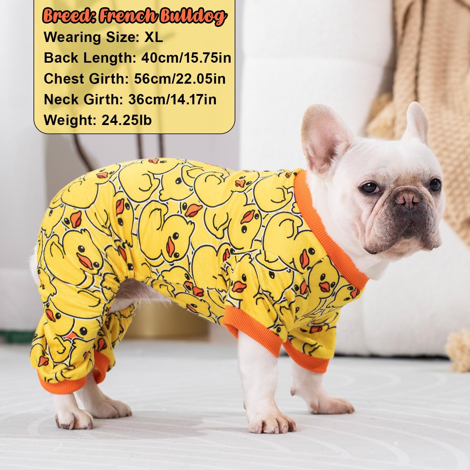 Dog Pajamas Soft Lightweight Dog Onesies Outfit Clothes for Small Medium Large Puppy Pjs for Pet Boys Girls Dogs Cats