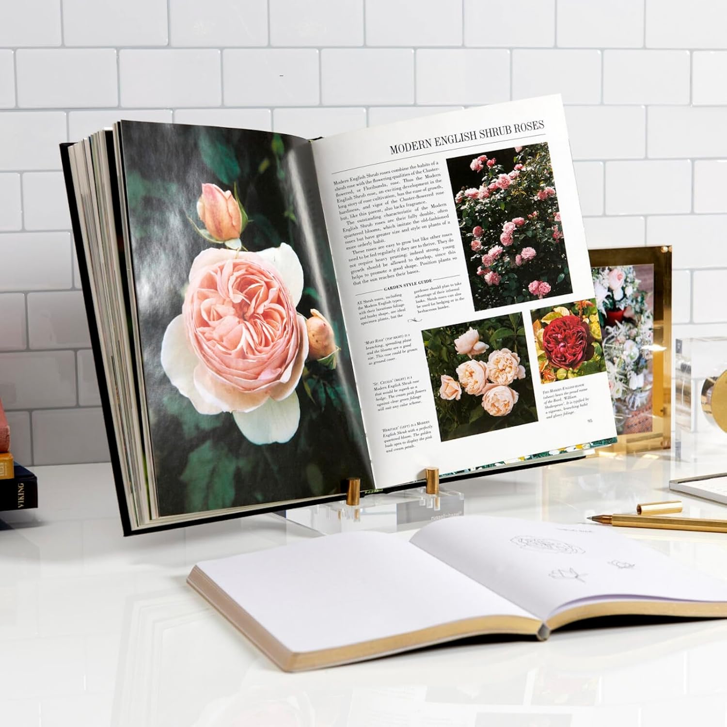 russell+hazel Acrylic Easel Display, Clear, 4u201D x 6u201D x 6u201D