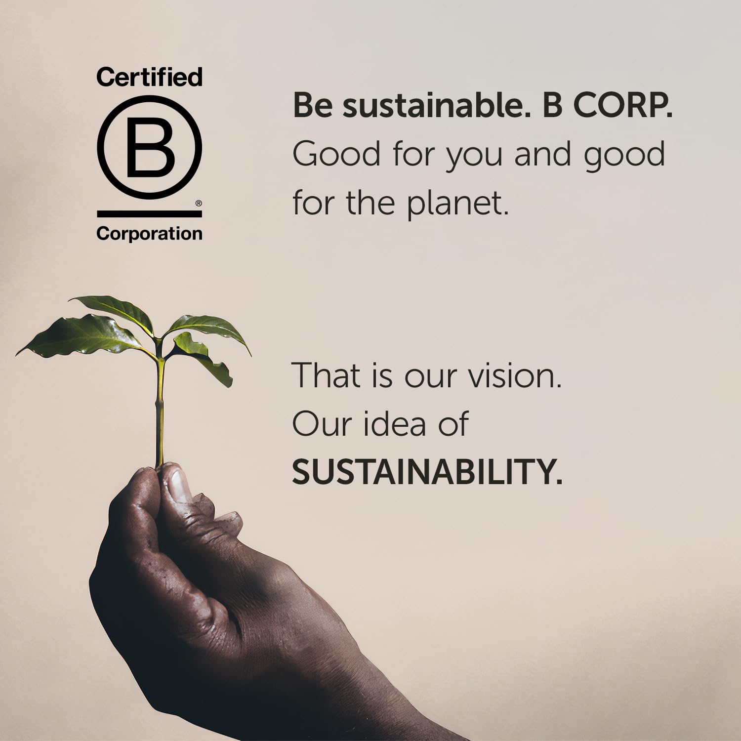 illy Coffee, iper Coffee Capsule, Medium Roast Drip Pod, 100% Arabica Bean Signature Italian Blend, Premium Gourmet Roast Brewed, Compatible with Multi Beverage illy iperEspresso Machines (18 ct) - Image 3