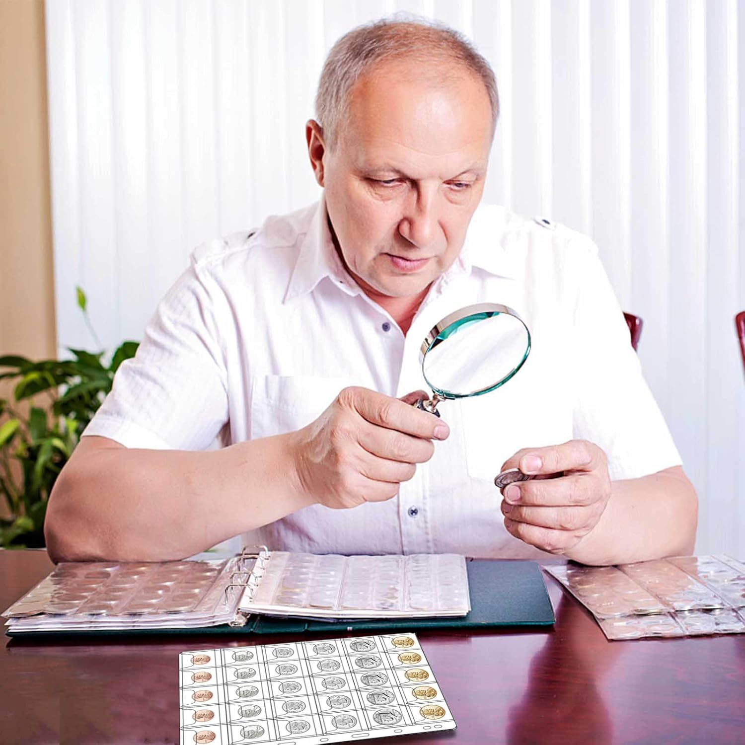 630 Pockets Coin Collection Pages, 21 Sheets Coin Collection Supplies Pages with Standard 9 Hole Coin Binder Sleeves for Penny, Nickel, Dime, Quarter Dollar, Half Dollar and Dollar (30 Pocket)