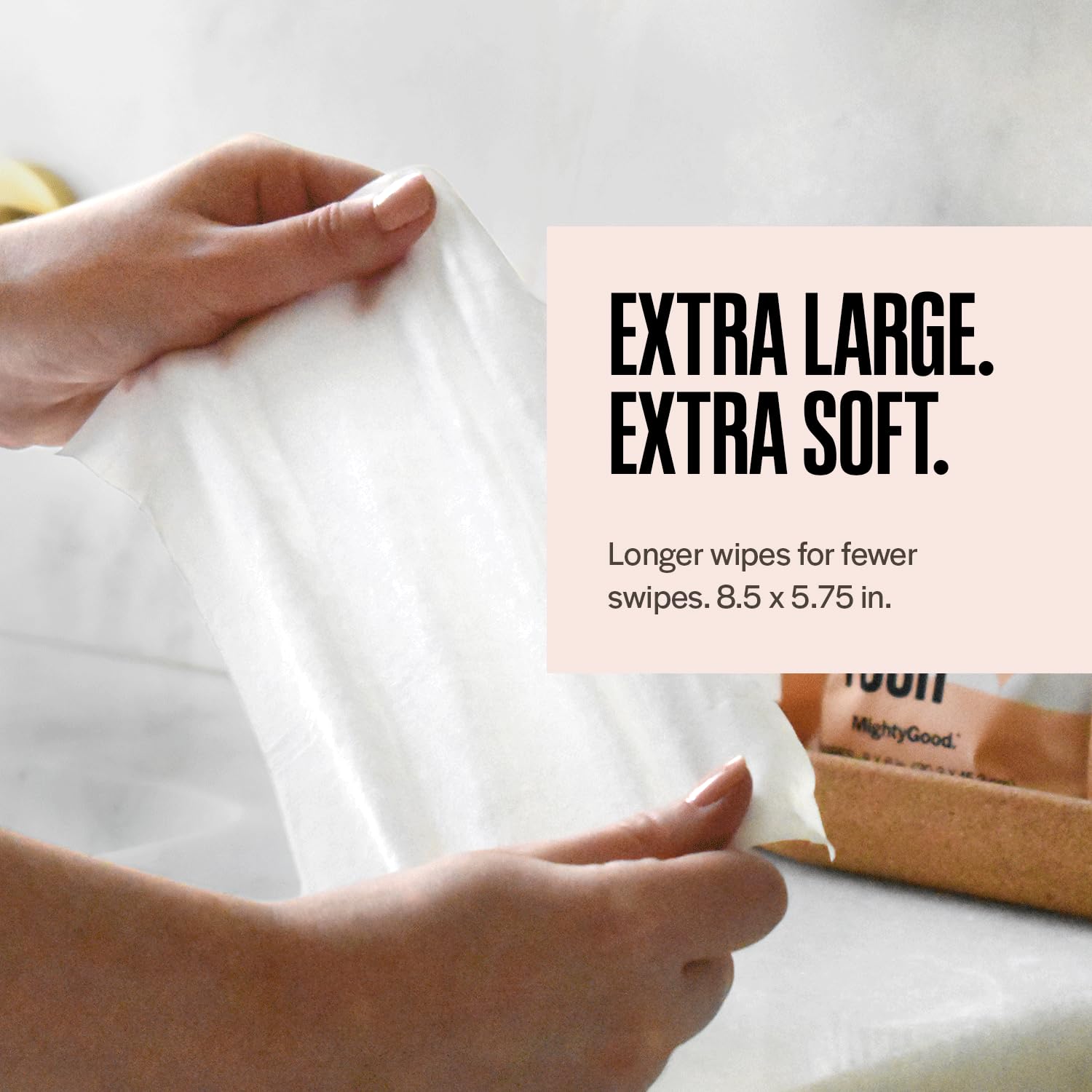 Wipe That Tush Flushable Wipes - 2 Packs of 50, 100 Total - Extra Large & Soft - Hypoallergenic & Fragrance-Free With Aloe & Vitamin E - Septic-Safe