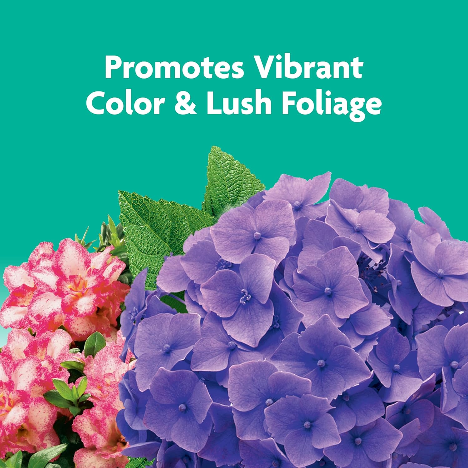 Miracle-Gro Tree and Shrub Plant Food Spikes, For Deciduous, Flowering and Evergreen Trees, 12 Spikes