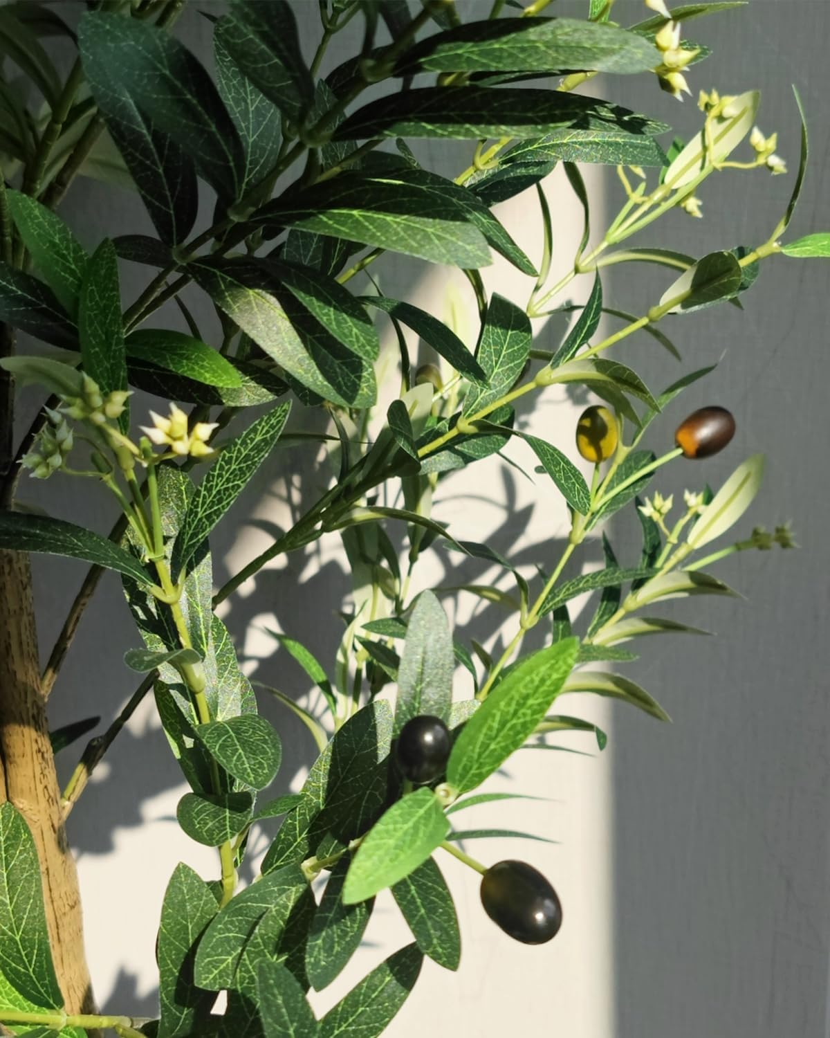 Caxchiling Faux Olive Tree 6FT, Artificial Potted Tree with Planter, Silk Plants Indoor Outdoor, Lifelike Olive Plants with Natural Wood Trunk, Fruits and Buds, Home Office Decor, 1 Pack