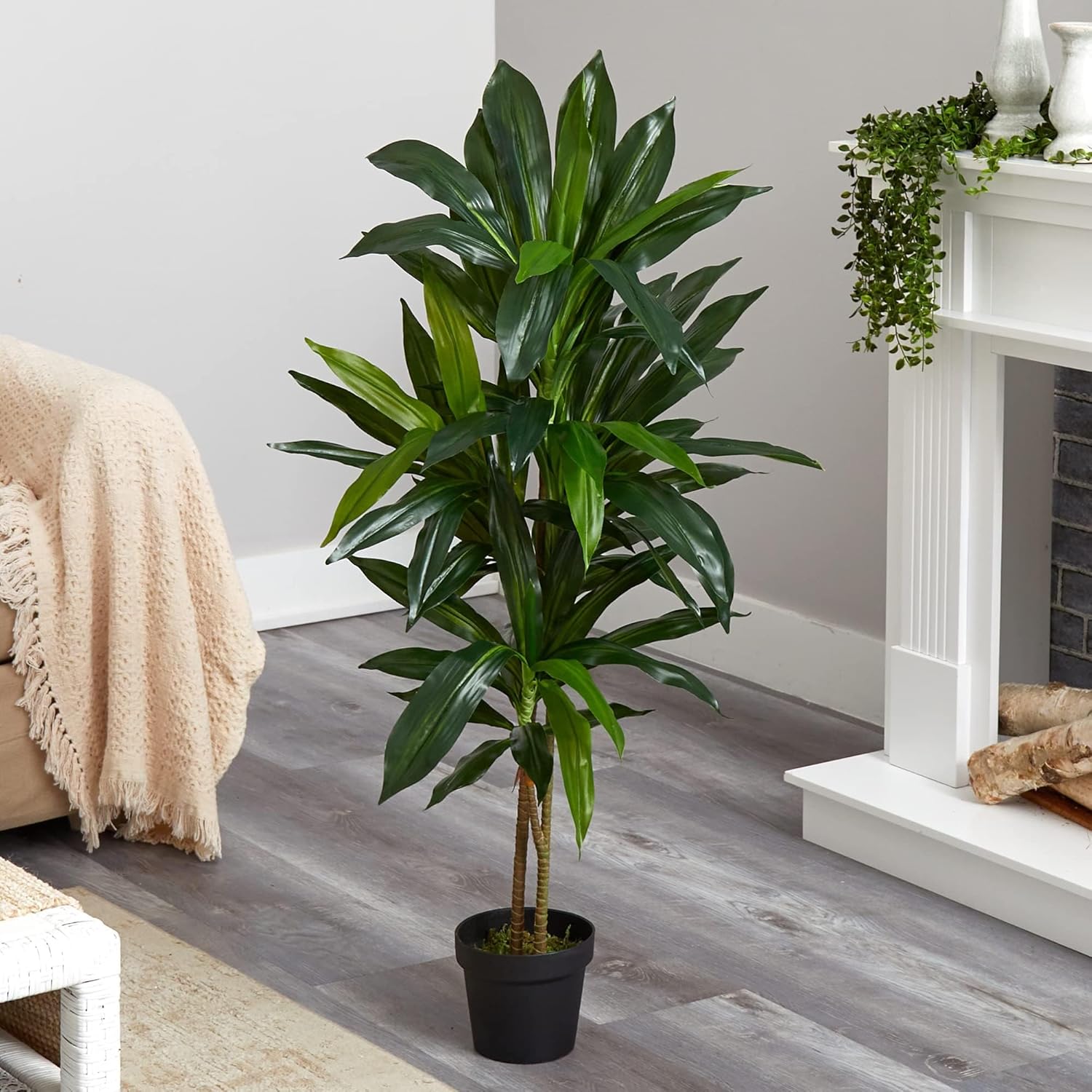 Nearly Natural 48in Artificial Dracaena with Real Touch Leaves and Multi Tonal Trunks, Large Indoor Silk Plant with Pot, Maintenance Free For Living Room And Home Office Decor