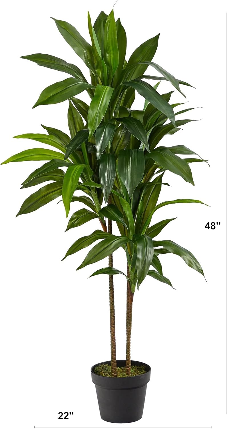 Alternative view of Nearly Natural 48in Artificial Dracaena with Real Touch Leaves and Multi Tonal Trunks, Large Indoor Silk Plant with Pot, Maintenance Free For Living Room And Home Office Decor